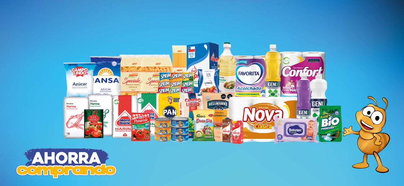 Compra mayorista de productos para negocios y almacenes en Maipú
